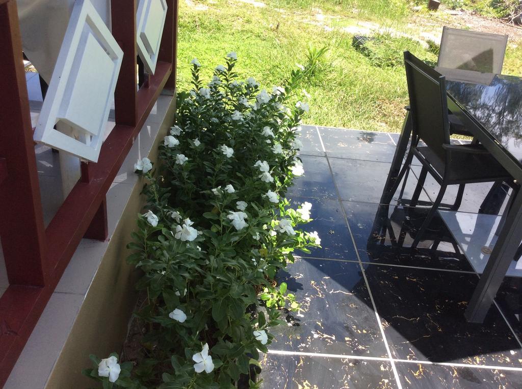 Agnes Cottage - Emerald ลาดิก ภายนอก รูปภาพ